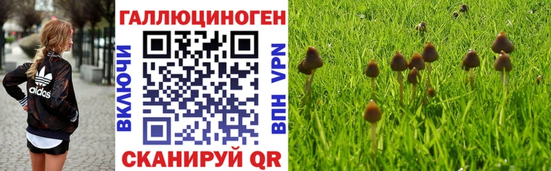 сколько стоит  Белгород  Псилоцибиновые грибы MAGIC MUSHROOMS 