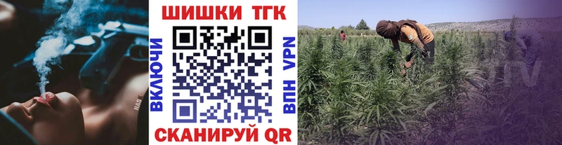 где найти   Белгород  Бошки марихуана OG Kush 